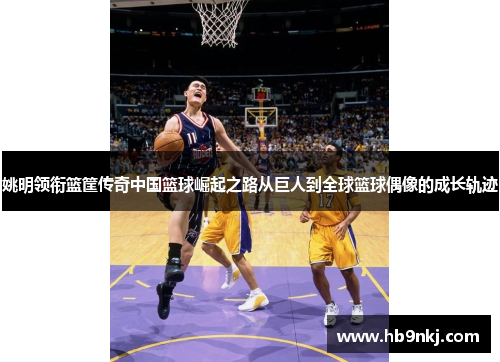 姚明领衔篮筐传奇中国篮球崛起之路从巨人到全球篮球偶像的成长轨迹