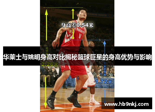华莱士与姚明身高对比揭秘篮球巨星的身高优势与影响